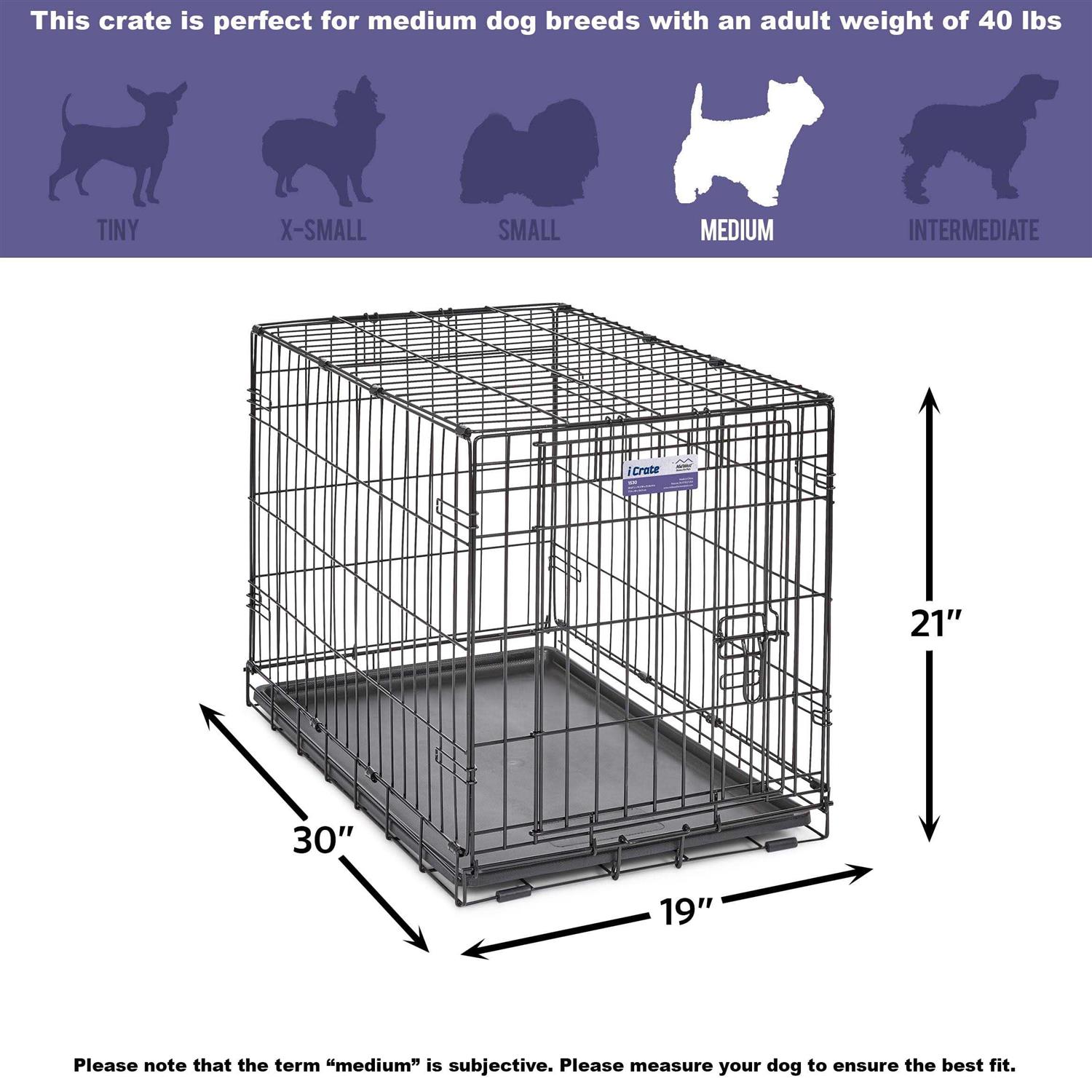 Midwest Single Door iCrate Dog Crate - Nail Gallerys