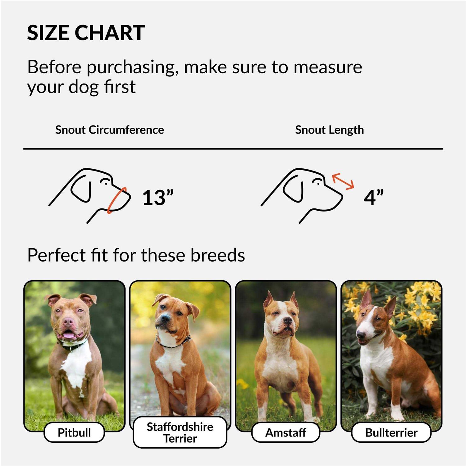 CollarDirect Dog Muzzle Pitbull Amstaff Basket Genuine Leather Staffordshire Terrier - Nail Gallerys