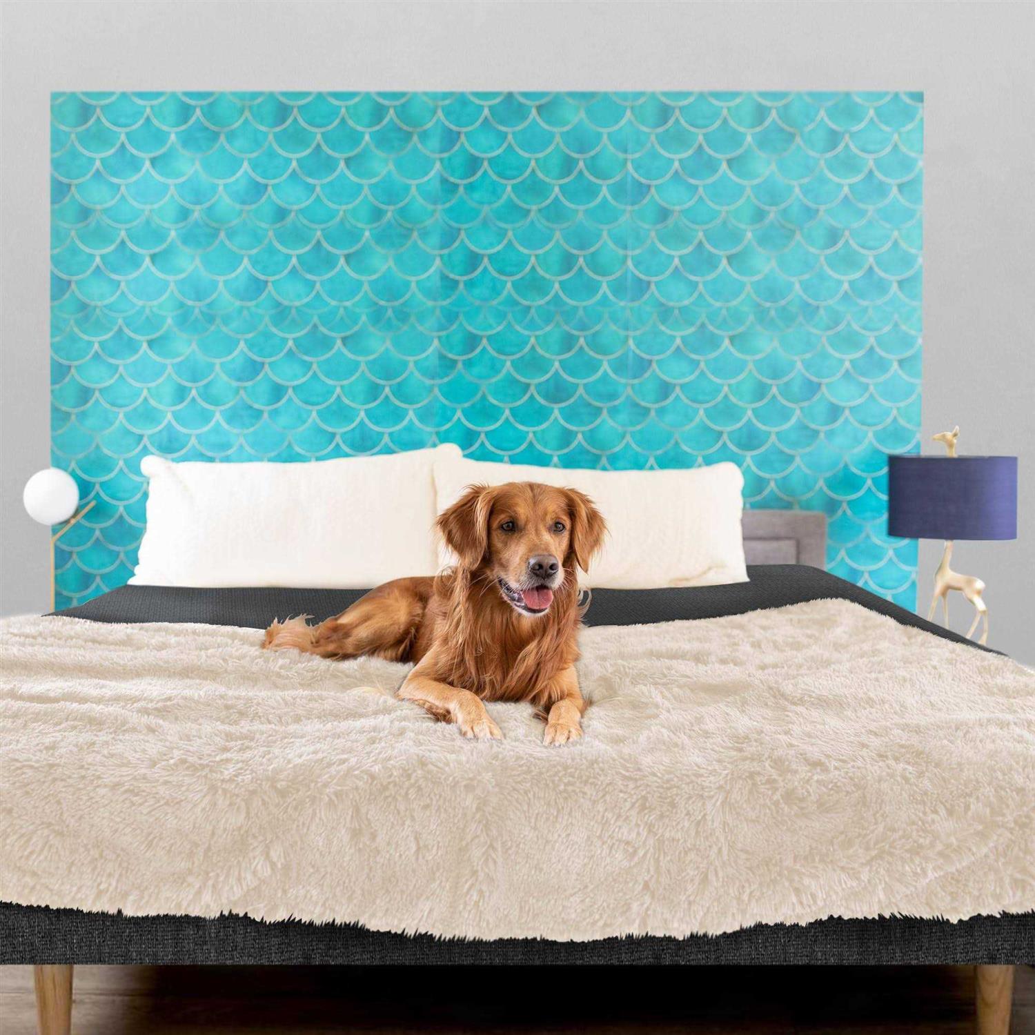 PawProof Throw Blanket - Nail Gallerys