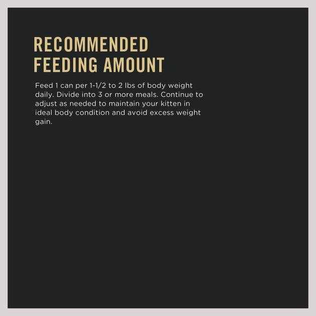 Purina Pro Plan Grain Free Pate Wet Kitten Food - Nail Gallerys