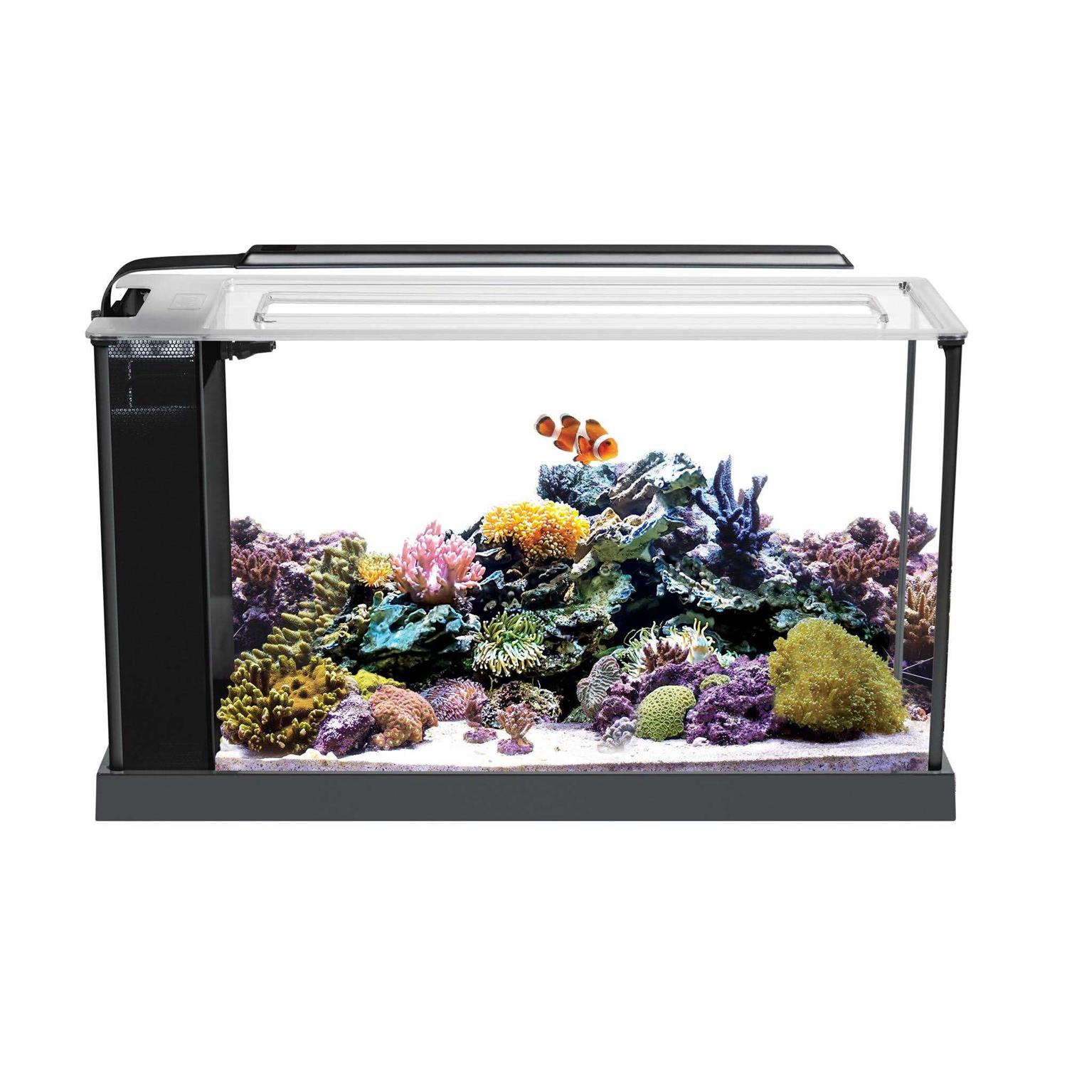Fluval Evo Aquarium Kit - Nail Gallerys