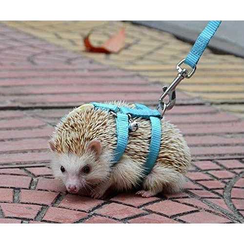 hokmly Adjustable Small Pet Hedgehog Harness for Training Playing Traction Rope - Nail Gallerys