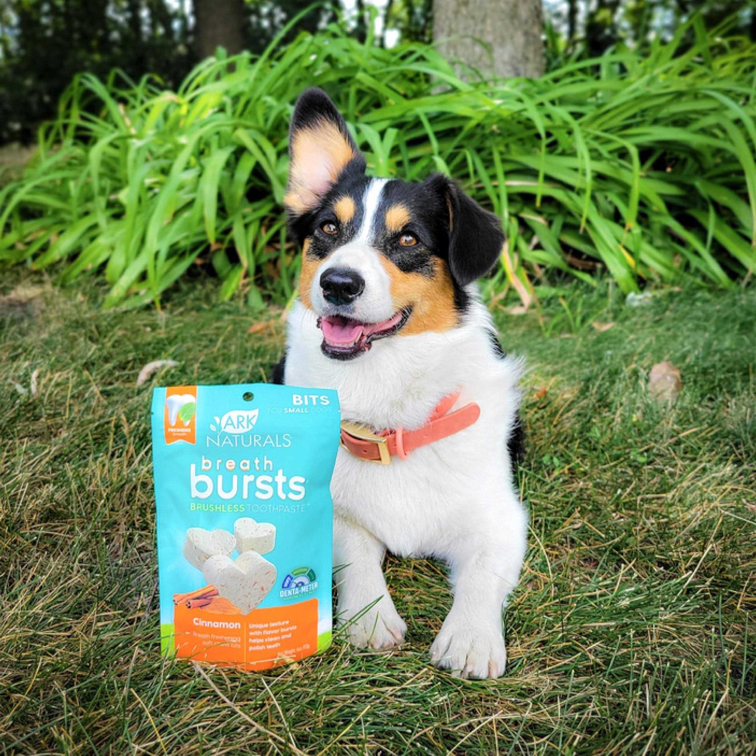 Ark Naturals Breath Bursts Bits Dental Dog Treats - Nail Gallerys