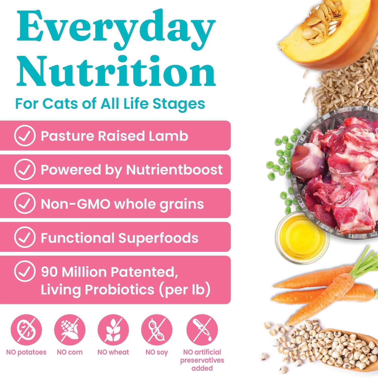 Solid Gold NutrientBoost Katz N Flocken Dry Cat Food with Lamb - Nail Gallerys