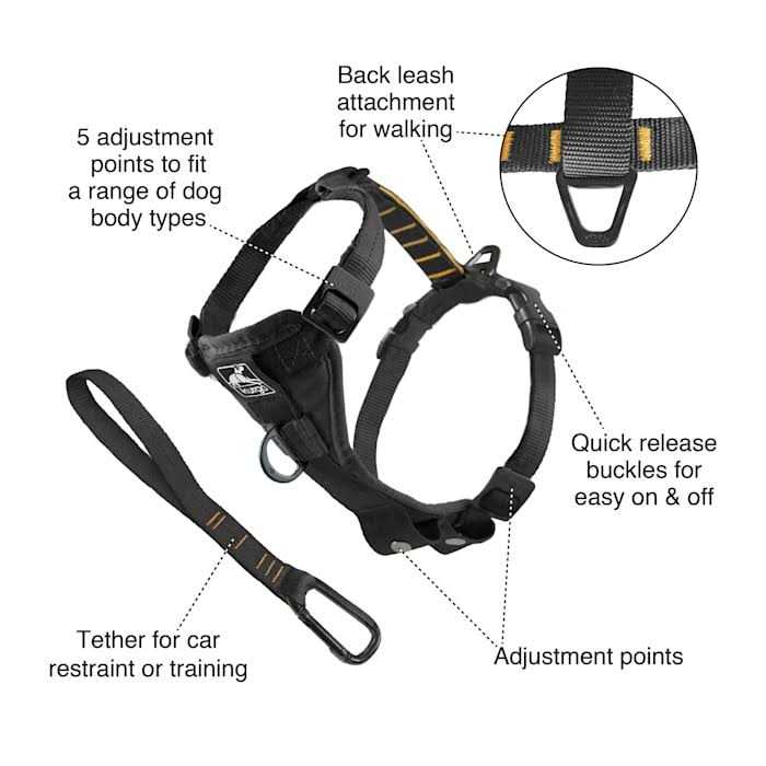 Kurgo Tru Fit Smart Harness - Nail Gallerys