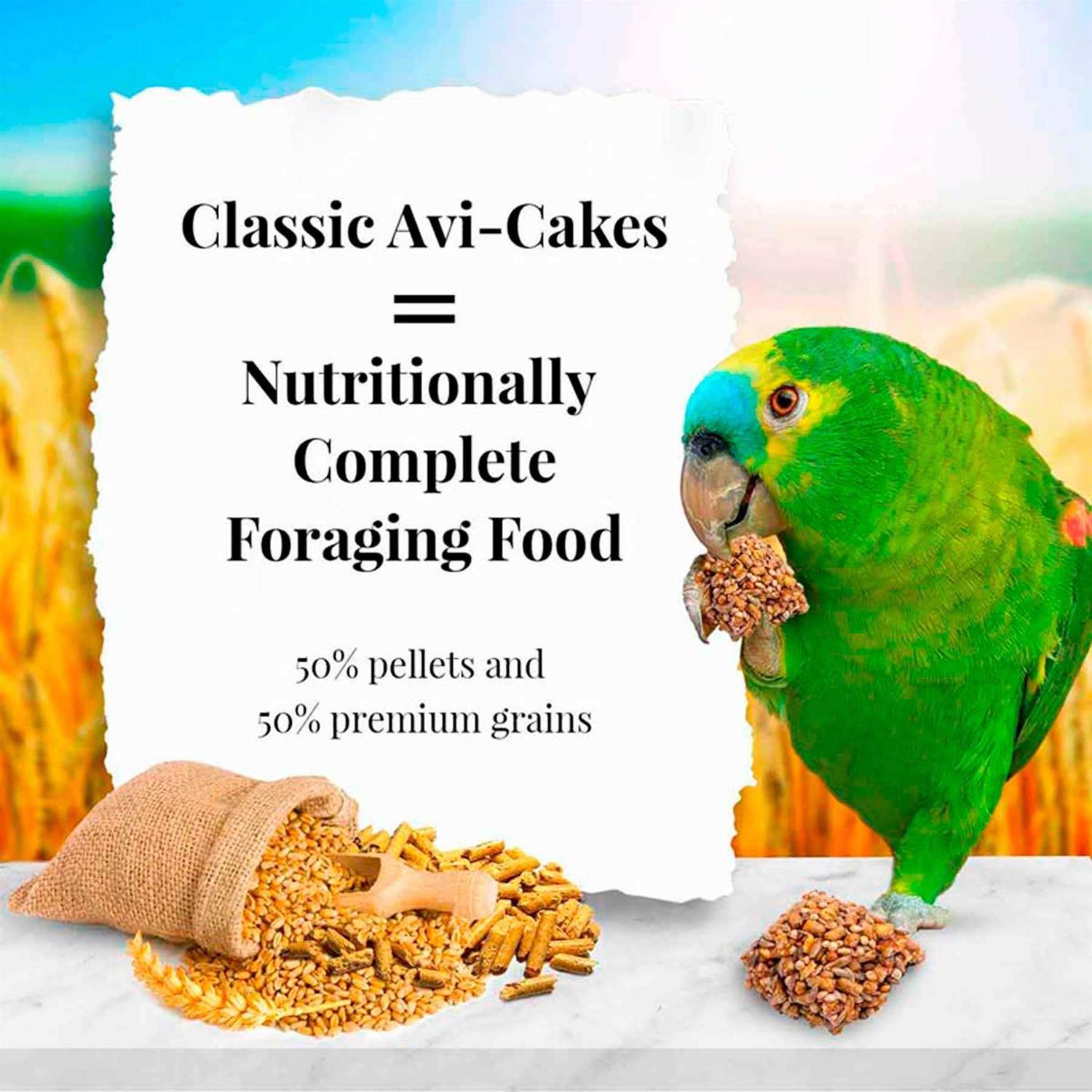 Lafeber Classic Avi-Cakes Parrot Food - Nail Gallerys