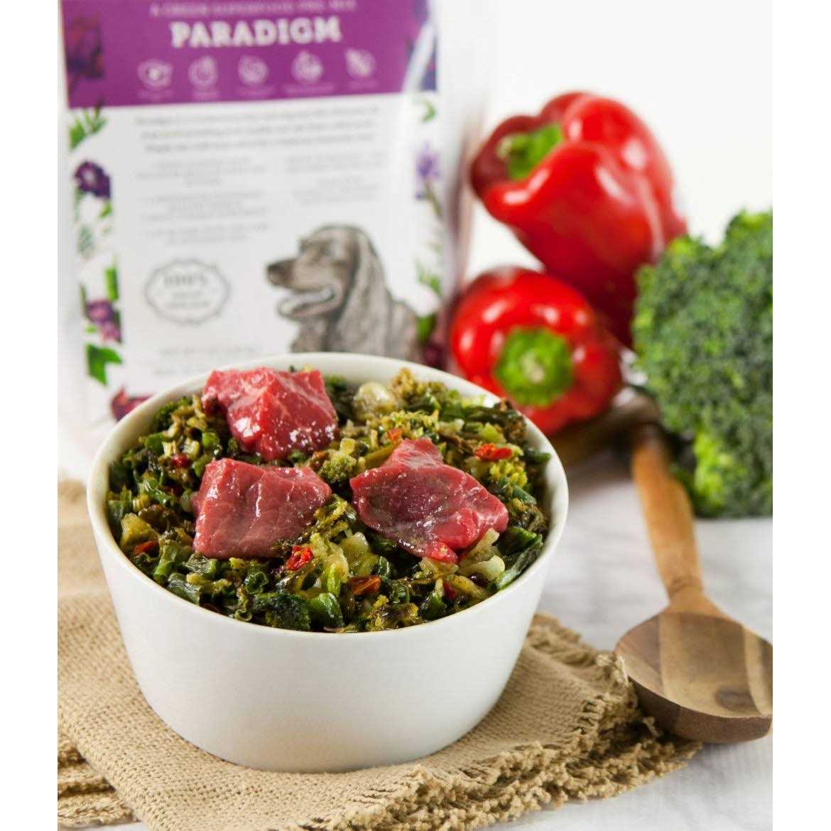 Dr. Harvey’s Paradigm Superfood Pre-Mix Dog Food - Nail Gallerys