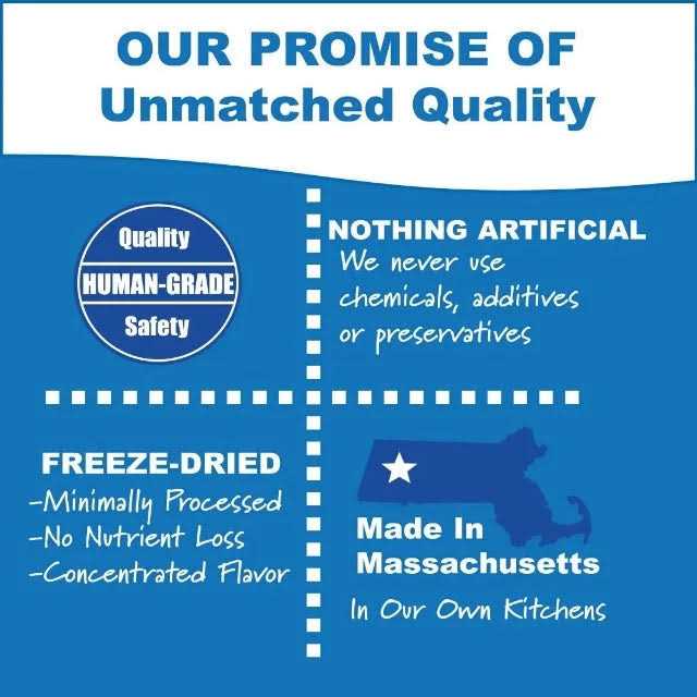 Whole Life Natures Remedy Recover Interim Stomach Distress Cat Food - Nail Gallerys