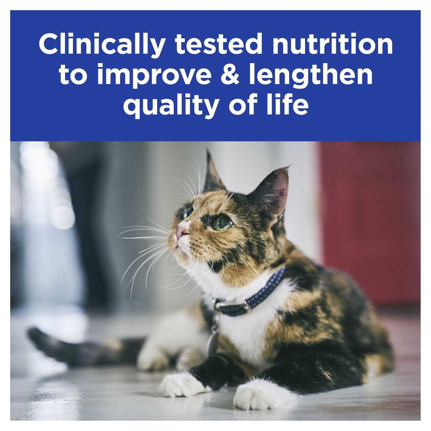 Prescription Diet k/d Kidney Care Cat Canned Food - Nail Gallerys