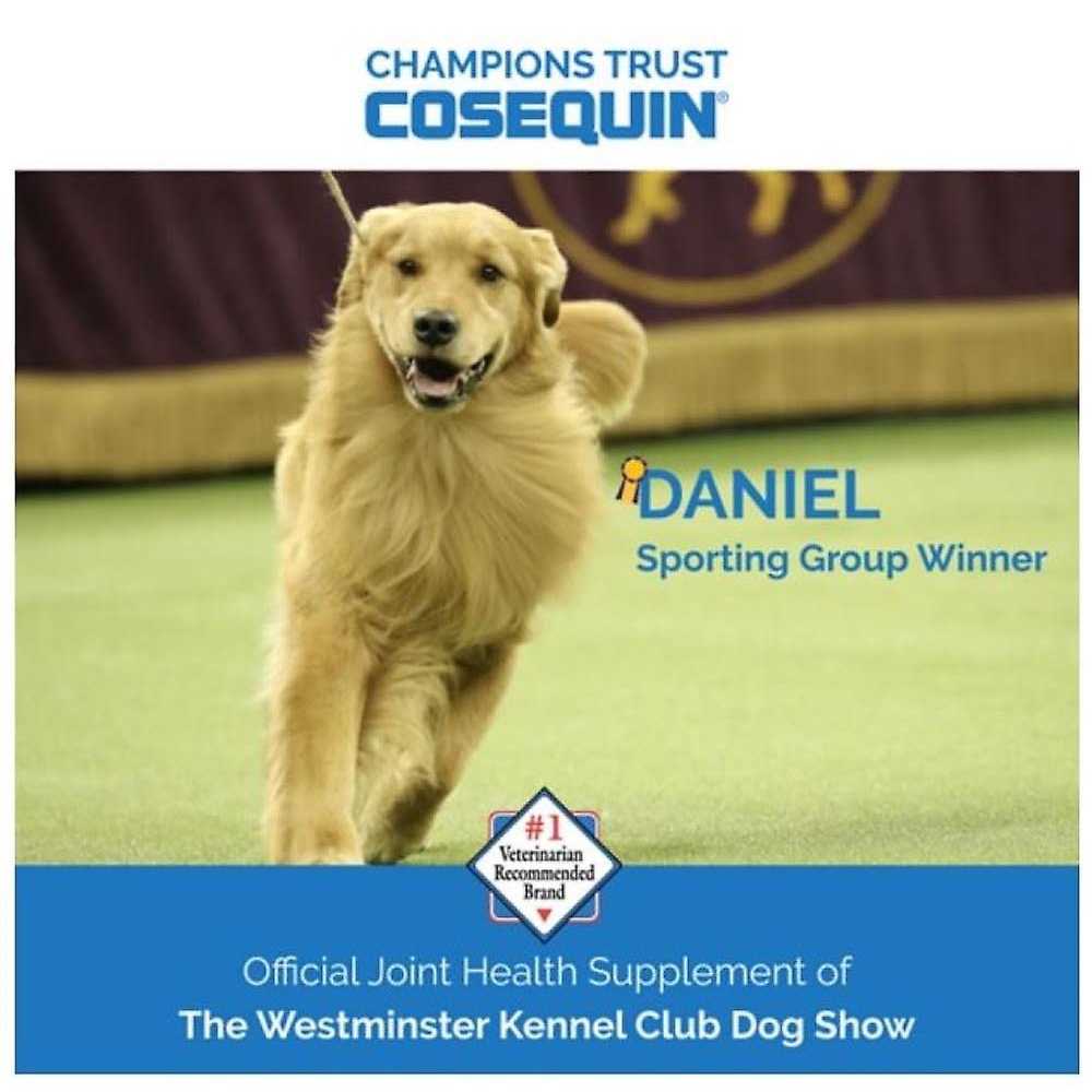 Nutramax Laboratories Cosequin Professional Joint Health Dog Supplement - Nail Gallerys