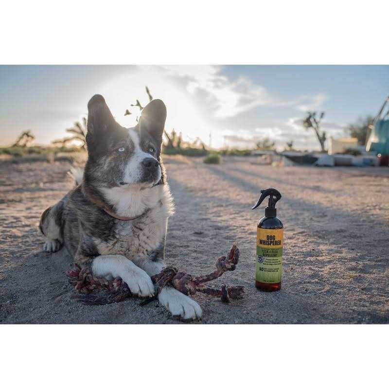 Dog Whisperer Tick Flea Repellent - Nail Gallerys
