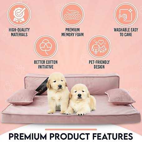 Precious Tails Modern Pet Sofa Bed - Nail Gallerys