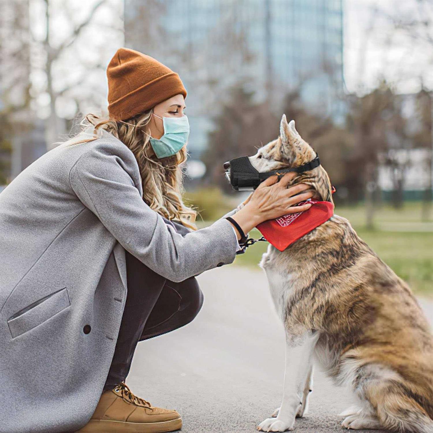 HEELE Dog Muzzle,Soft Nylon Muzzle Anti Biting Barking Chewing,Air Mesh Breathable Drinkable Adjustable Loop Pets Muzzle for Small Medium Large Dogs - Nail Gallerys