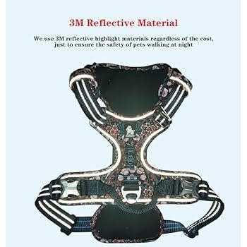 Chai’s Choice Premium Floral Dog Harness - Nail Gallerys