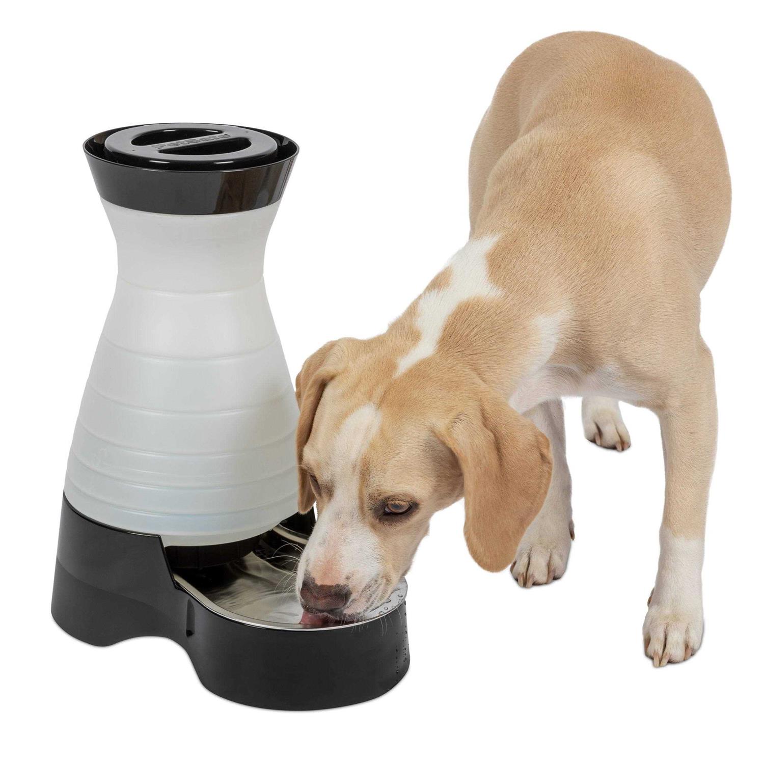 PetSafe Healthy Pet Water Station - Nail Gallerys