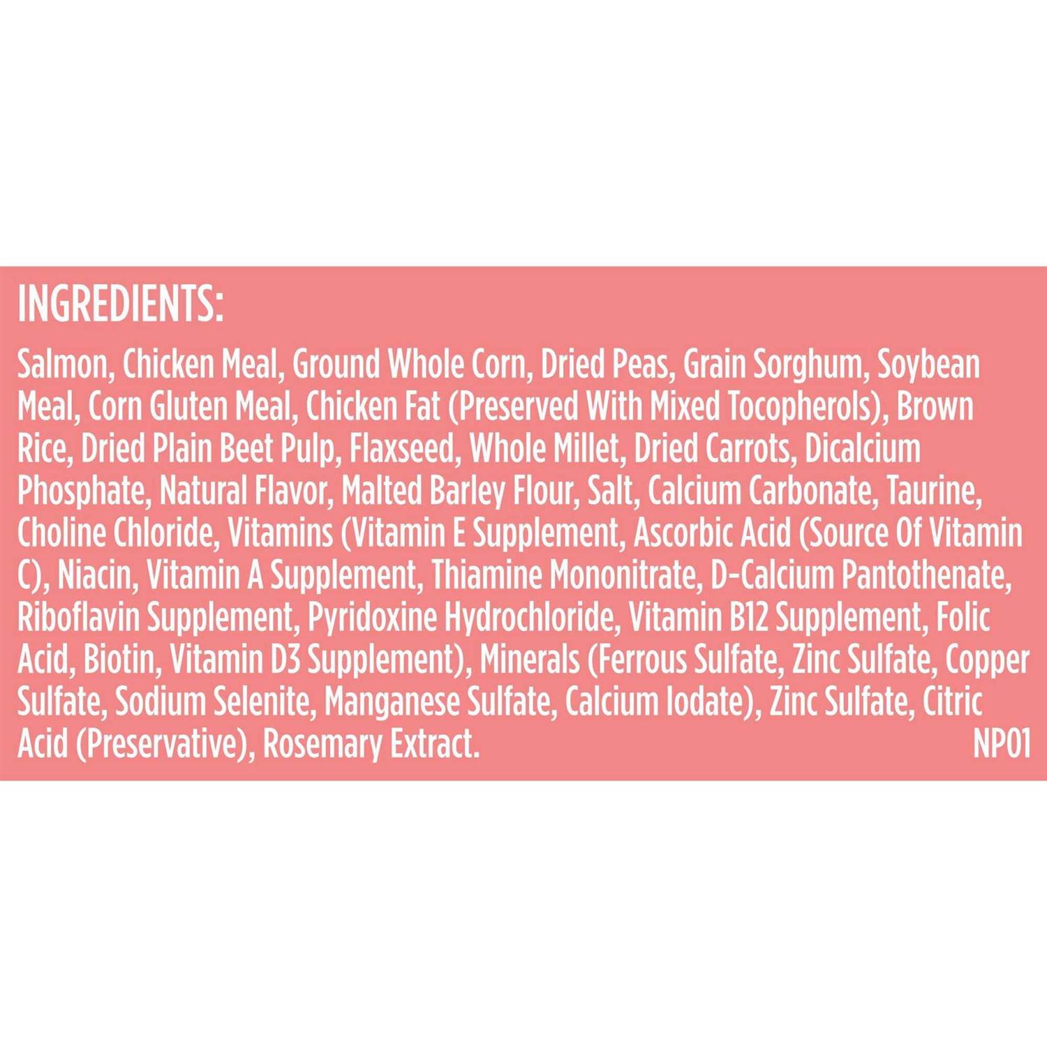 Rachael Ray Nutrish Salmon Veggies & Brown Recipe Dry Dog Food - Nail Gallerys