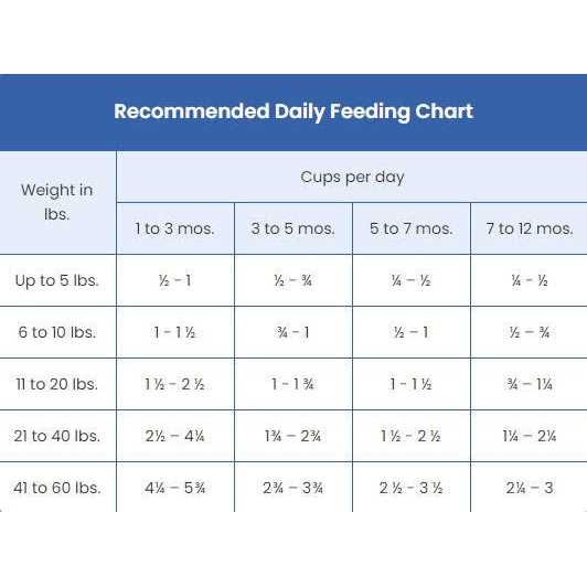 Blue Buffalo Wilderness High Protein Natural Puppy Dry Dog Food Chicken - Nail Gallerys