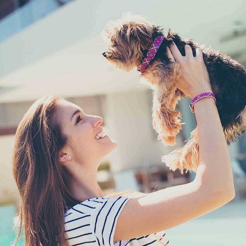 FriendshipCollar Mucky Pup Dog Collar with Friendship Bracelet - Nail Gallerys