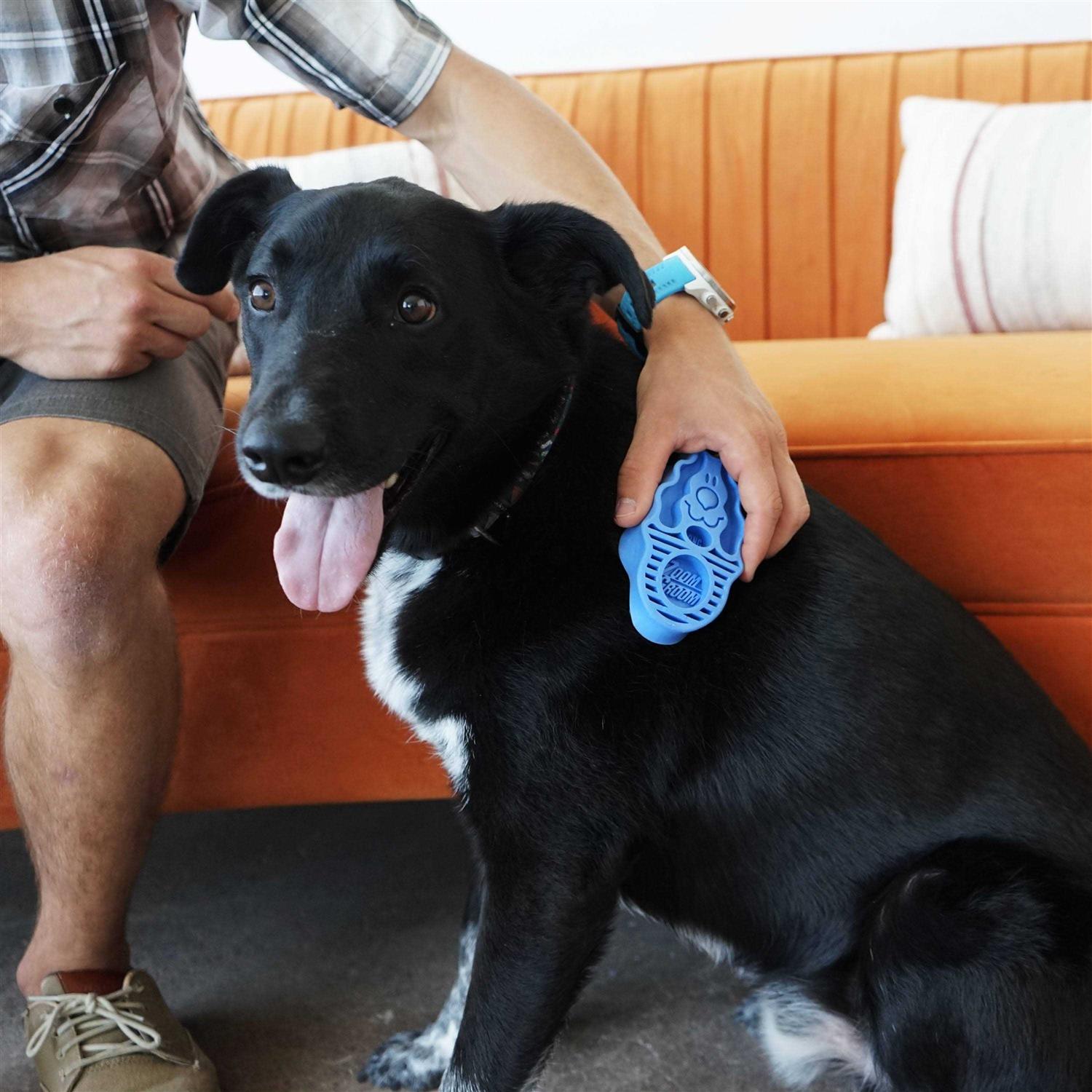 KONG ZoomGroom Brush - Nail Gallerys