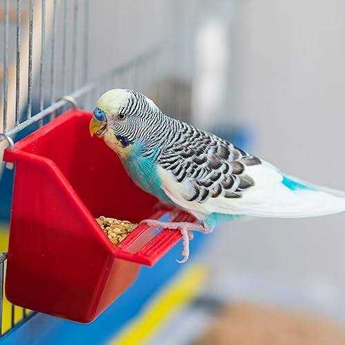 Wild Harvest Molting Supplement for Small Animals - Nail Gallerys