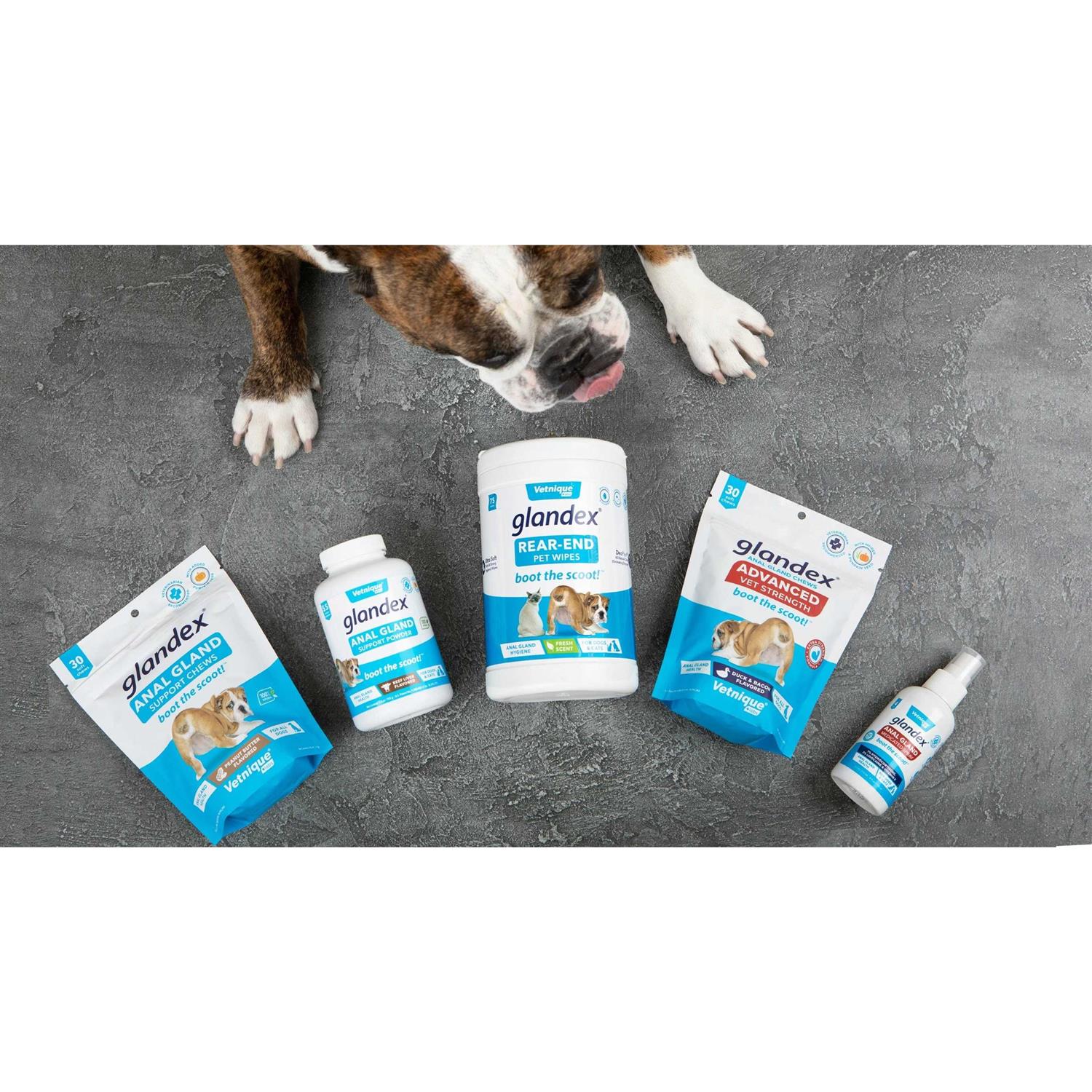 Glandex Anal Gland Support Powder for Dogs & Cats - Nail Gallerys