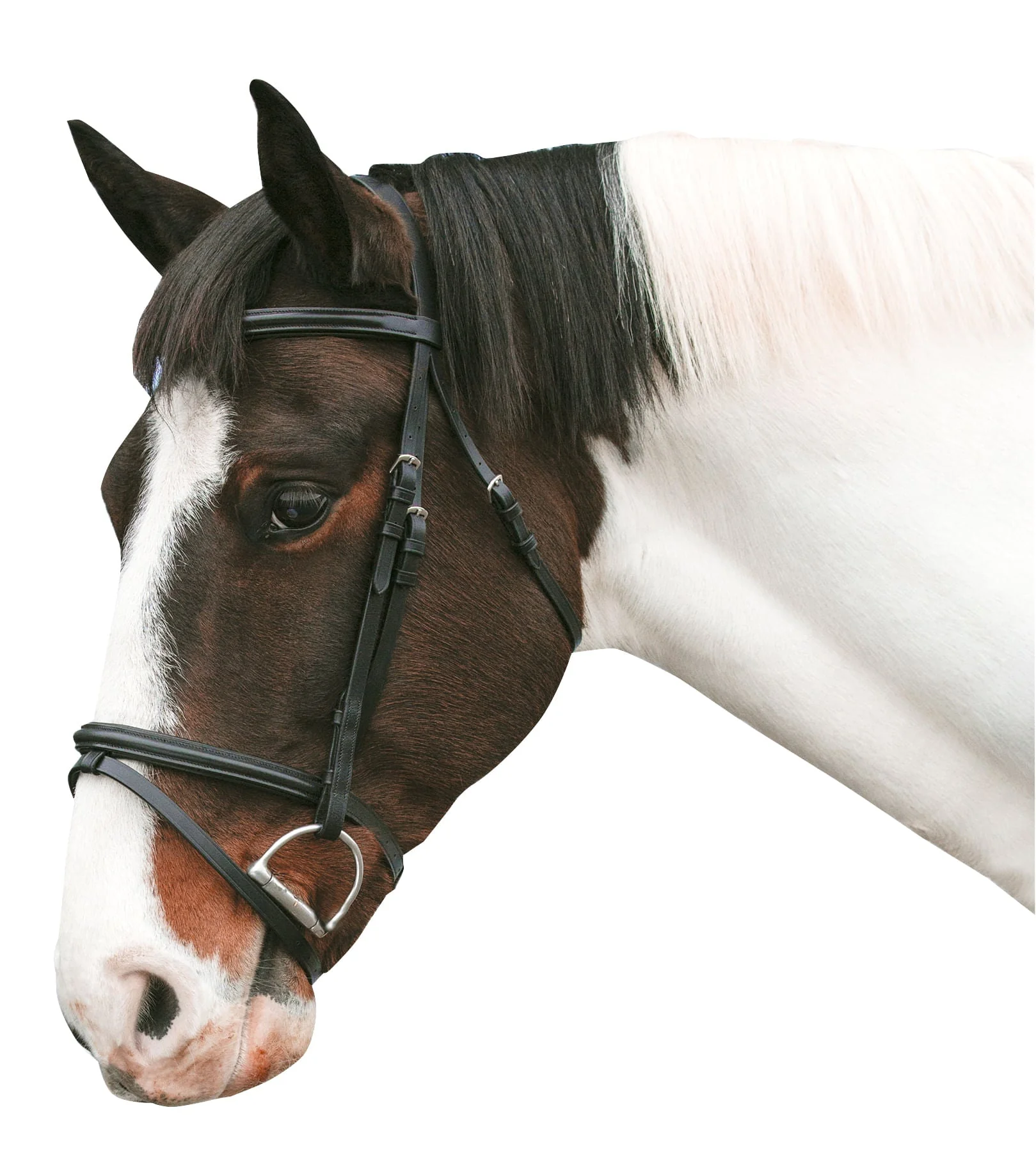 Loveson Horse Bridle - Nail Gallerys