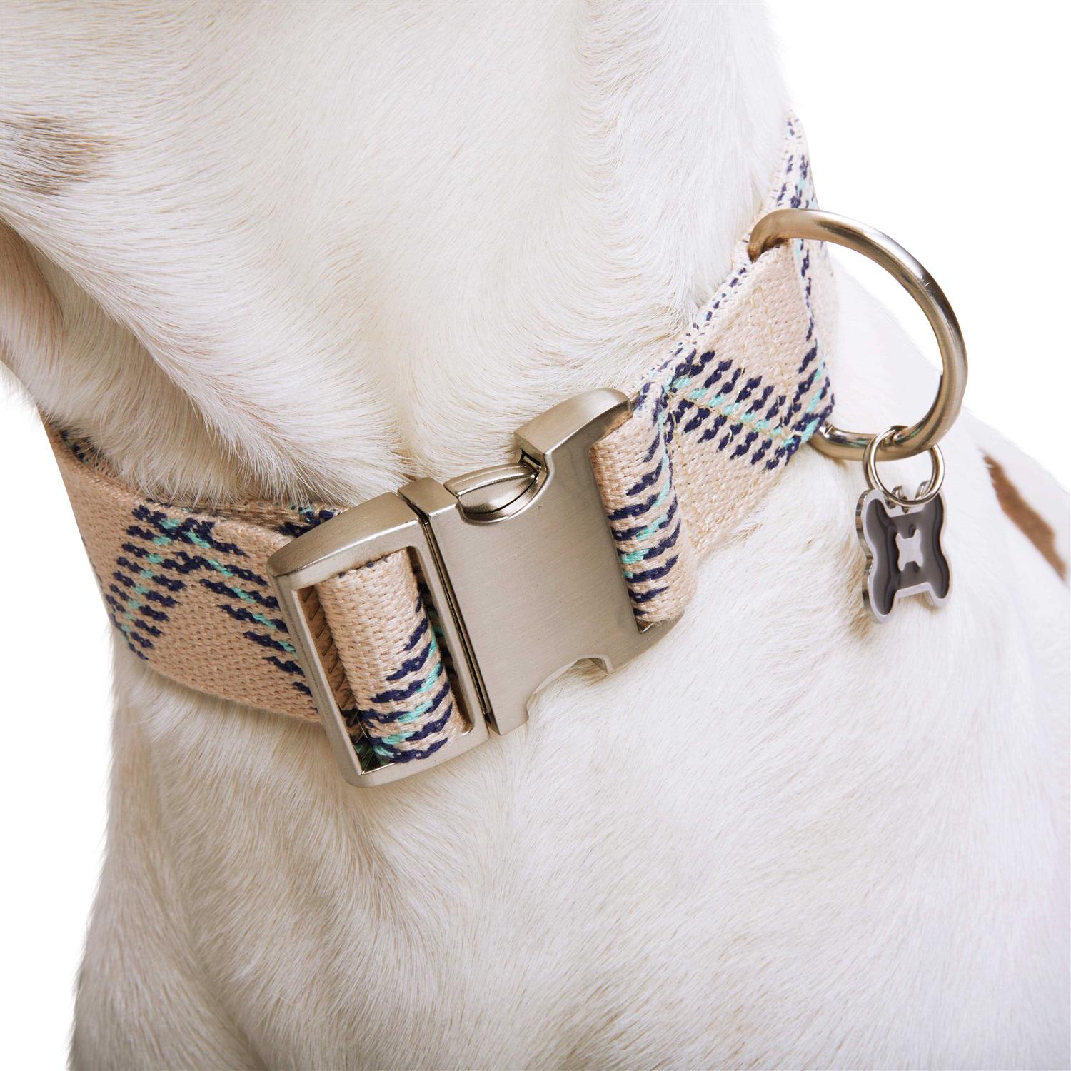 YOULY Zig Zag Dog Collar - Nail Gallerys