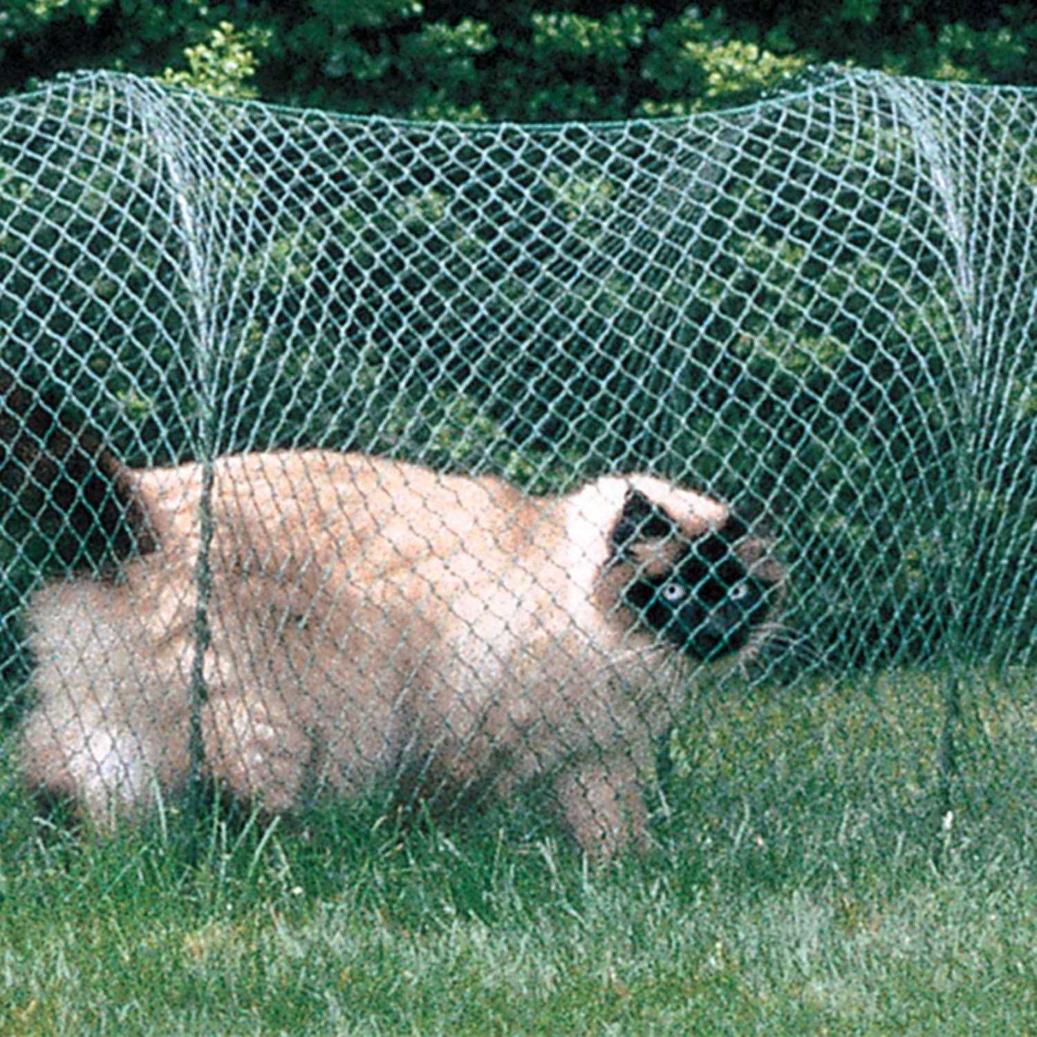 Kittywalk Lawn Version Outdoor Cat Enclosure - Nail Gallerys