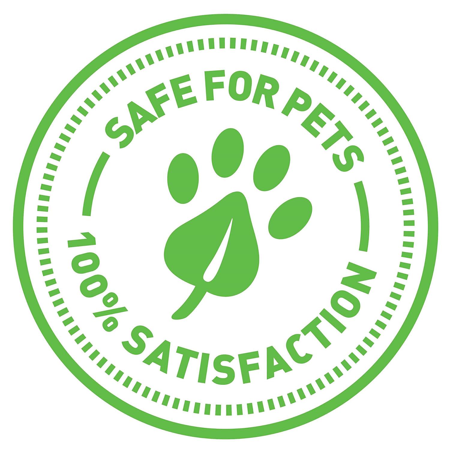 SmartyKat Flicker Balls Cat Toy - Nail Gallerys