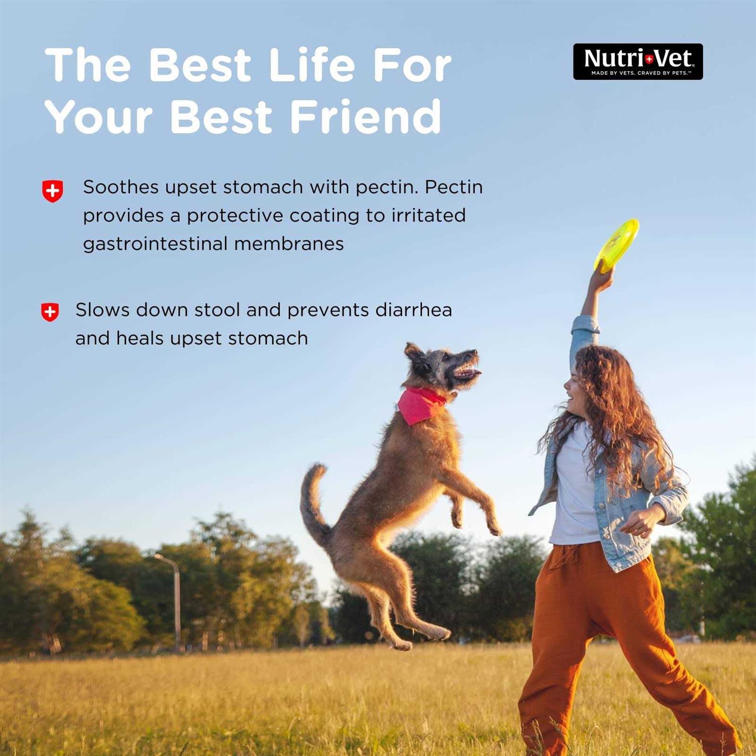 Nutri-Vet Anti-Diarrhea Liquid - Nail Gallerys