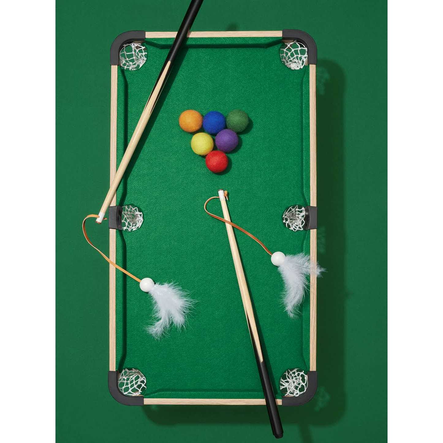 Vetreska Meownooker Cat Toy Set - Nail Gallerys