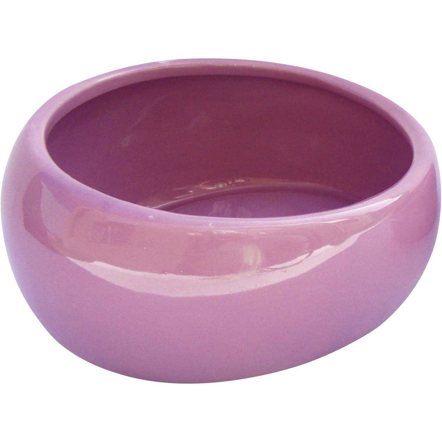 Ergonomic Dish Living World - Nail Gallerys