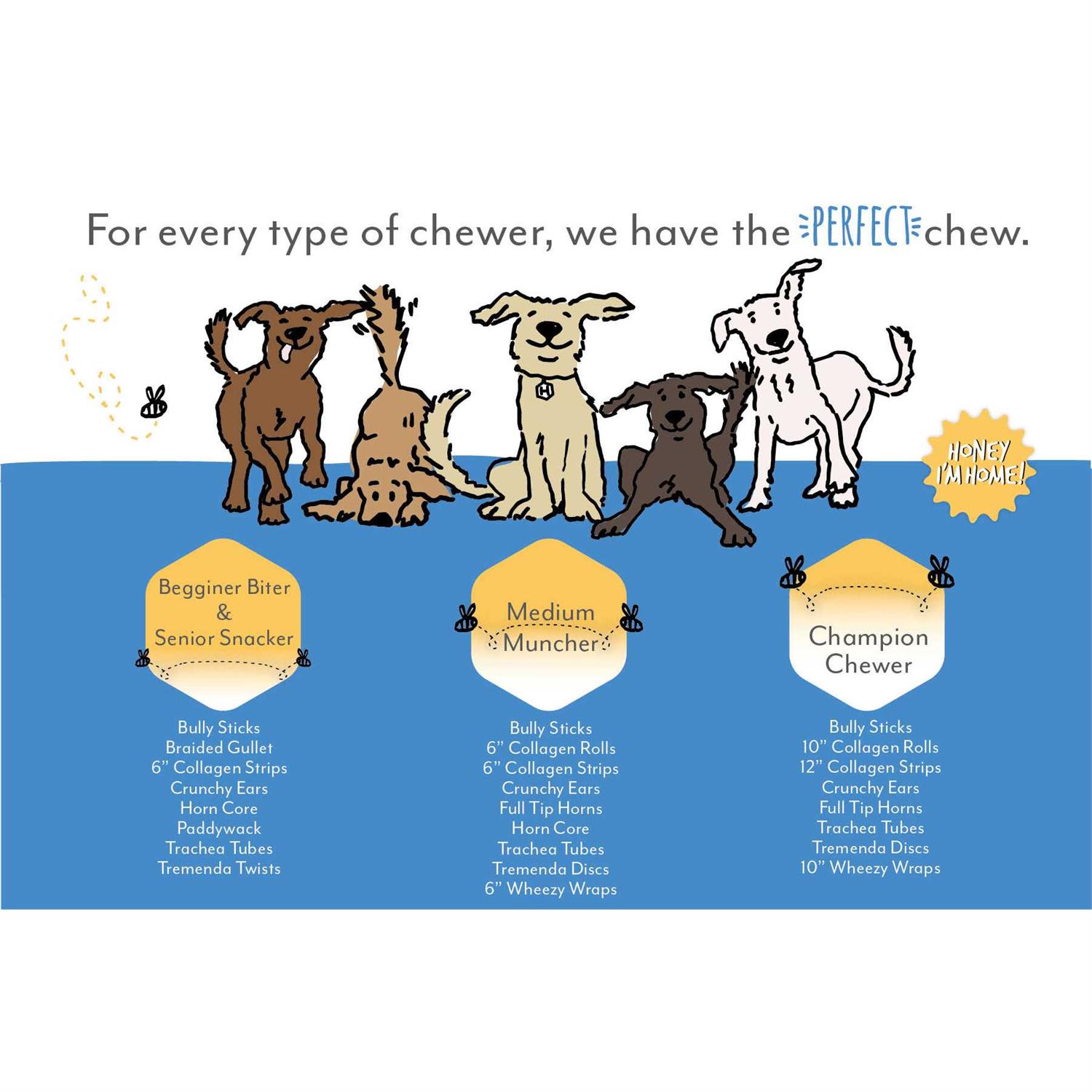 Honey I’m Home Dog Buffalo Trachea - Nail Gallerys