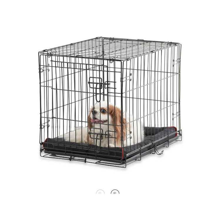Vibrant Life Single-Door Folding Dog Crate with Divider - Nail Gallerys