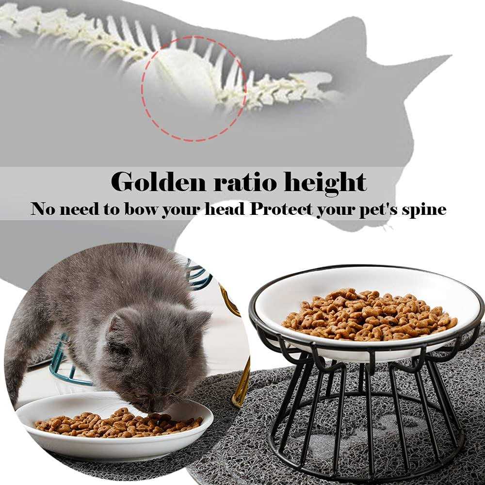 Wellbro Cat Bowls, Elevated Cat Bowl, Raised Ceramic Cat Dish with Metal Stand, Pet Water or Food Feeding Station for Indoor Cats - Nail Gallerys