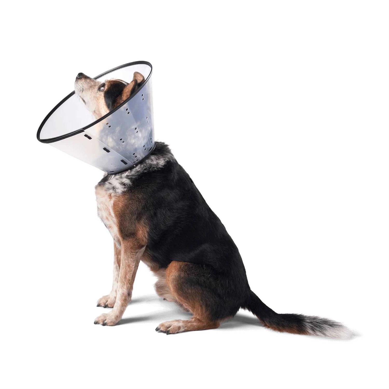 Remedy & Recovery Dogswell E-Collar - Nail Gallerys