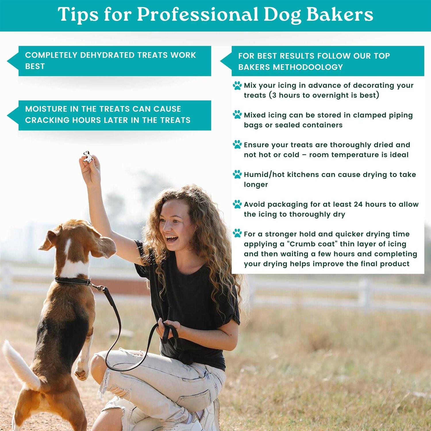 K9Cakery Magifrost Icing for Dog Treats Create Vibrantly and Dog-Safe Delights - Nail Gallerys