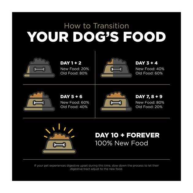 Go! Solutions Sensitivities Limited Ingredient Duck Grain-Free Dry Dog Food - Nail Gallerys