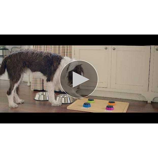 Rachael Ray Nutrish Real Beef Pea & Brown Rice Dry Dog Food - Nail Gallerys