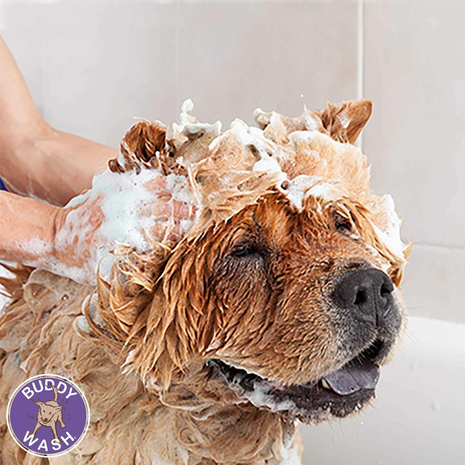 Cloud Star Buddy Wash Dog Shampoo & Conditioner - Nail Gallerys