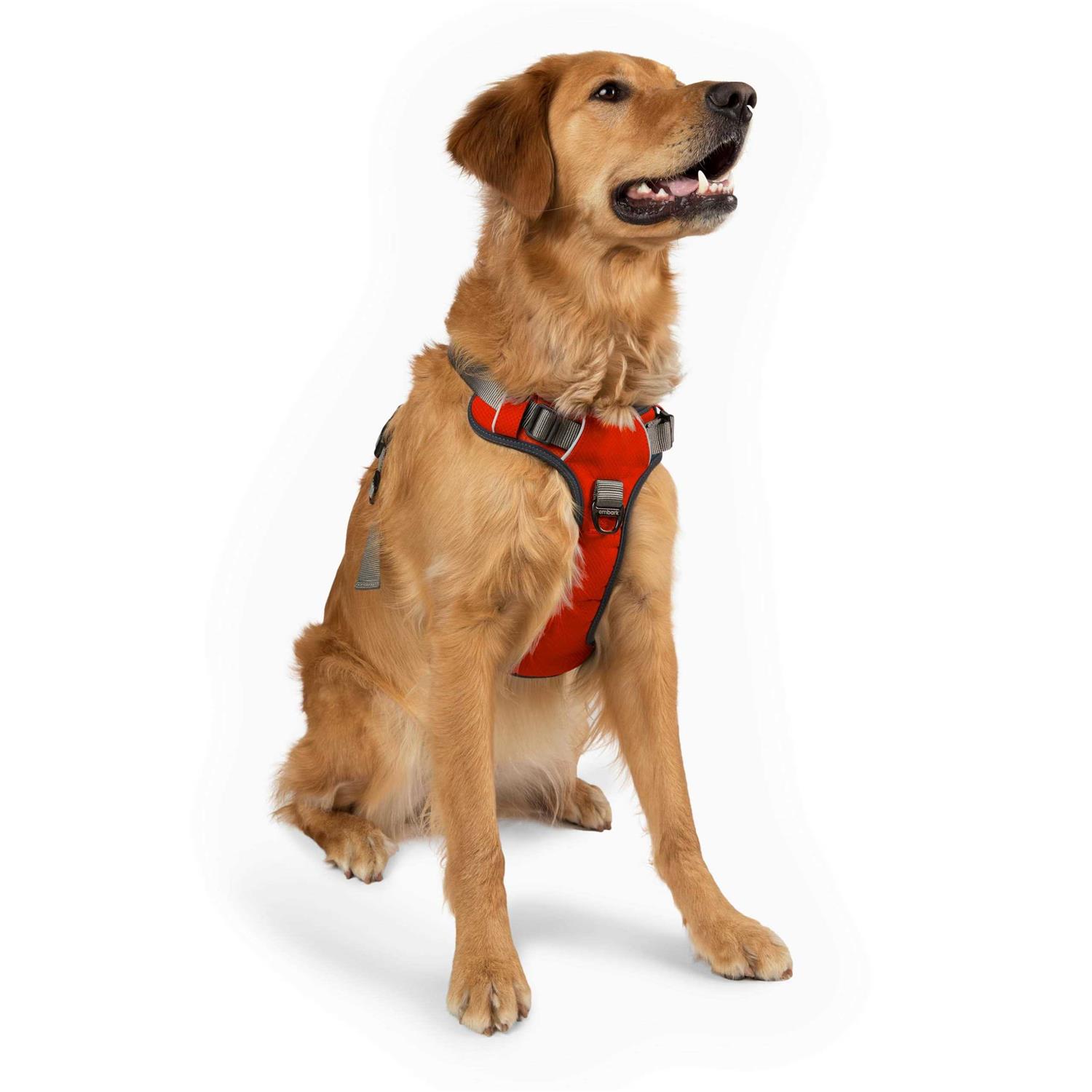 Embark Pets Embark Adventure Dog Harness No-Pull Dog Small Dogs Leash - Nail Gallerys