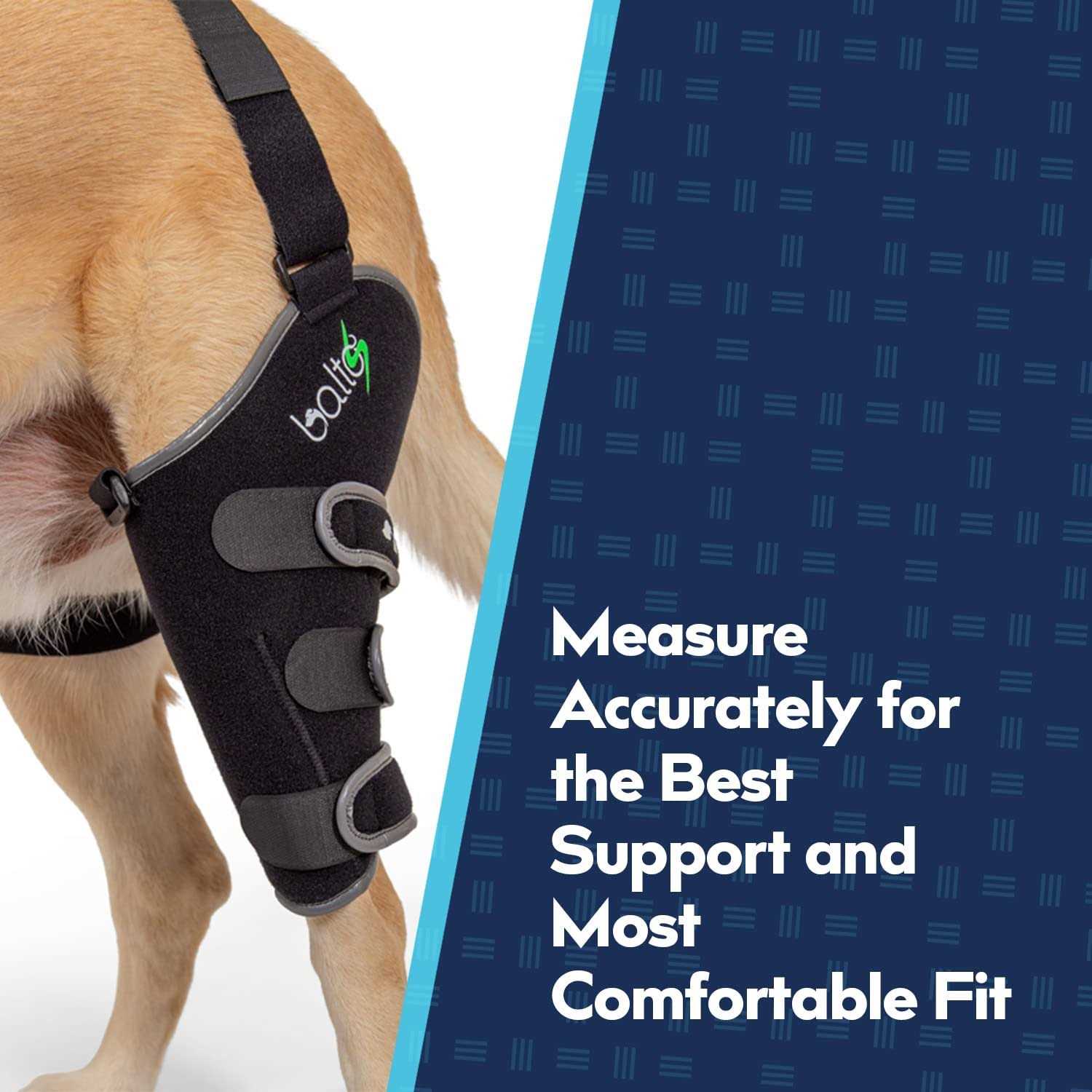 Balto Sport Agile CCL Brace Knee Support for Dogs Soft - Nail Gallerys