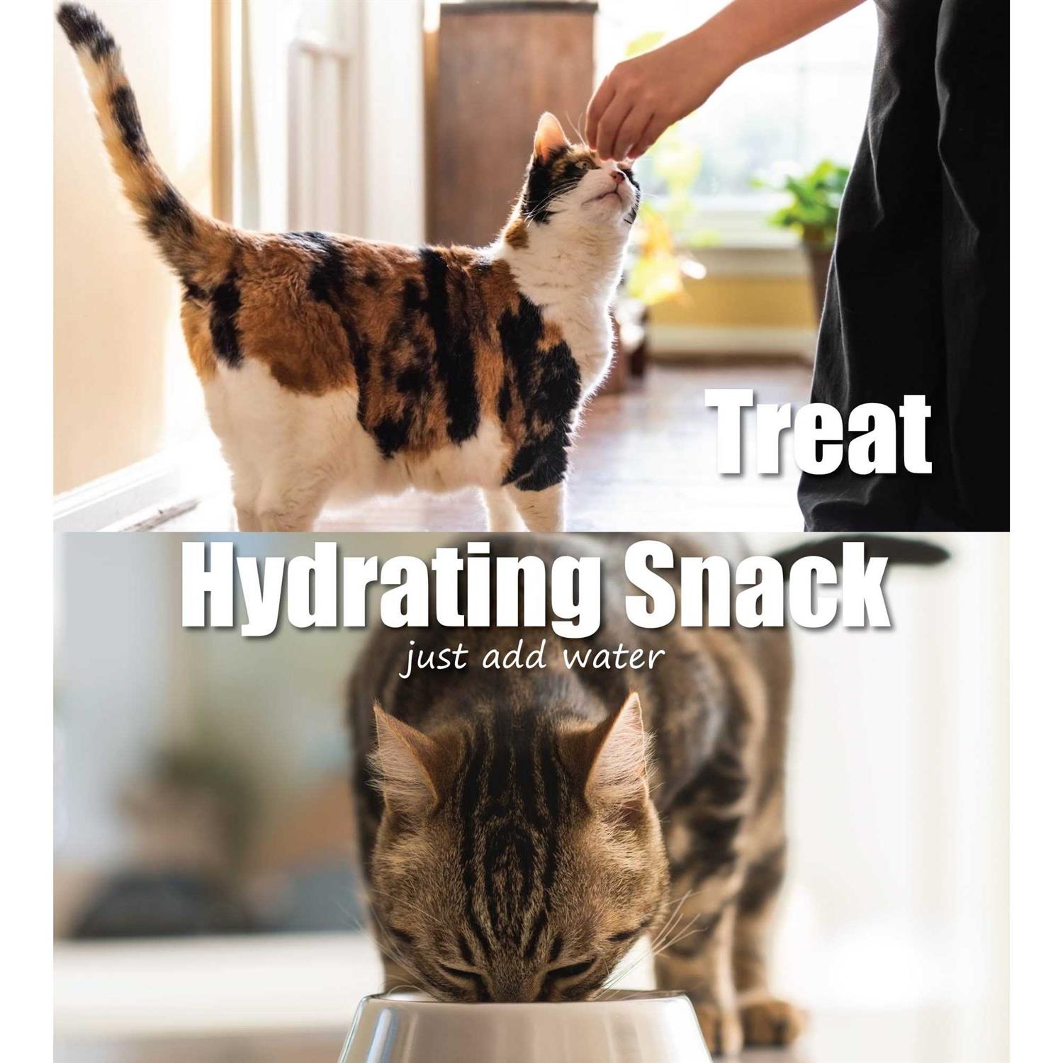 Whole Life Pet Just One Ingredient Freeze-Dried Chicken Cat Treats - Nail Gallerys