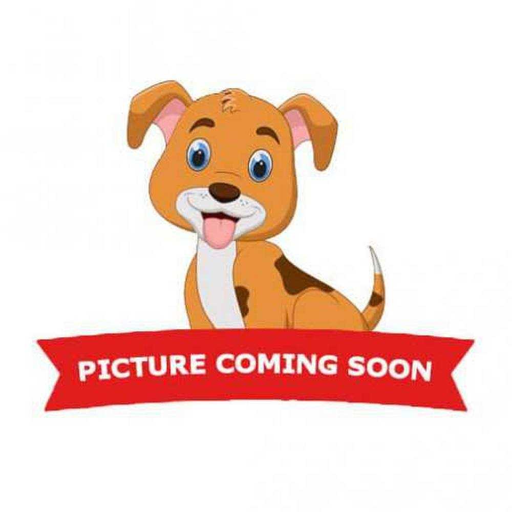 Prestige 15ft XXL Dog Tie-Out - Nail Gallerys