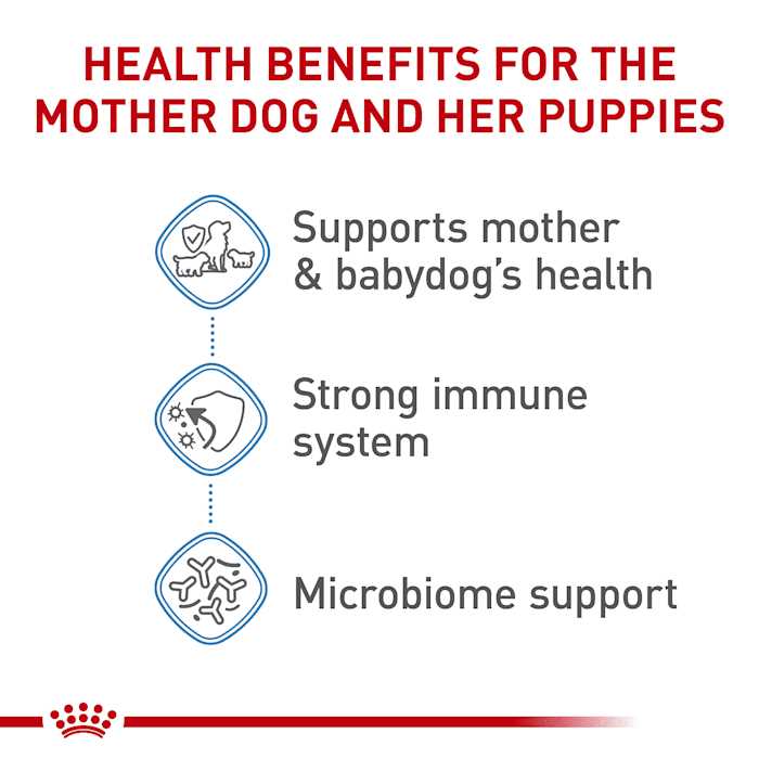 Royal Canin Small Starter Babydog & Mother Dry Dog Food - Nail Gallerys