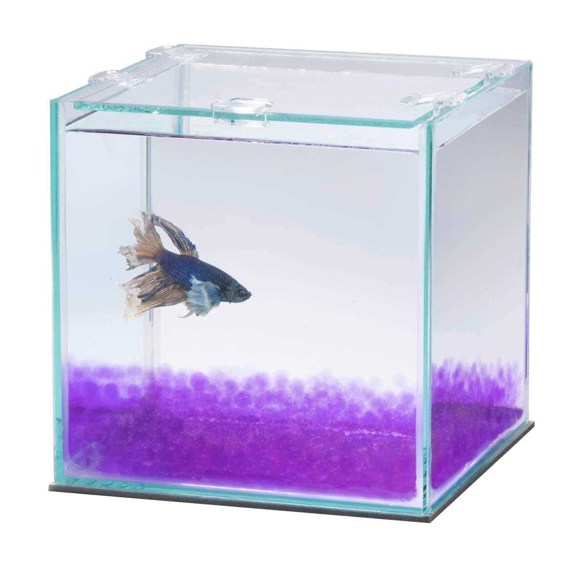 Aqueon Pure Betta Beads - Nail Gallerys