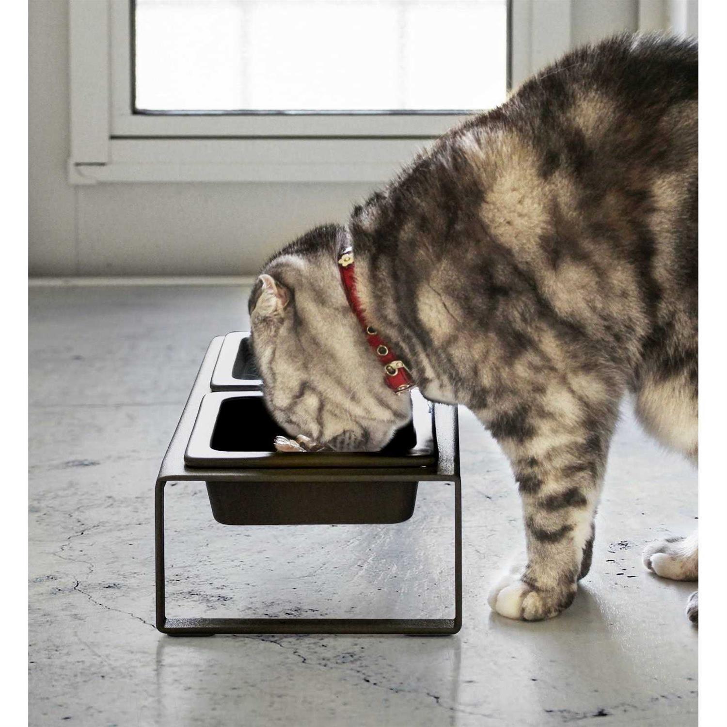 Yamazaki Home Pet Food Bowl - Nail Gallerys