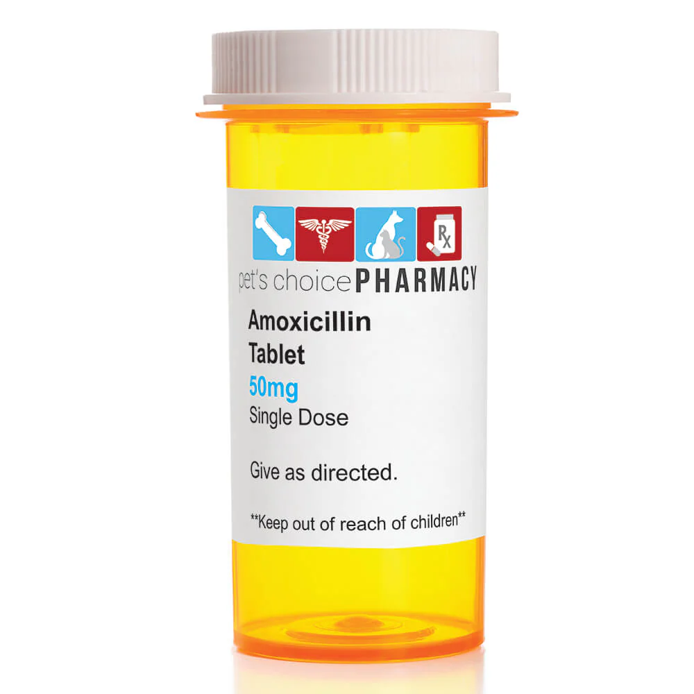 Rx Amoxicillin (Generic) Tablets for Dogs & Cats - Nail Gallerys