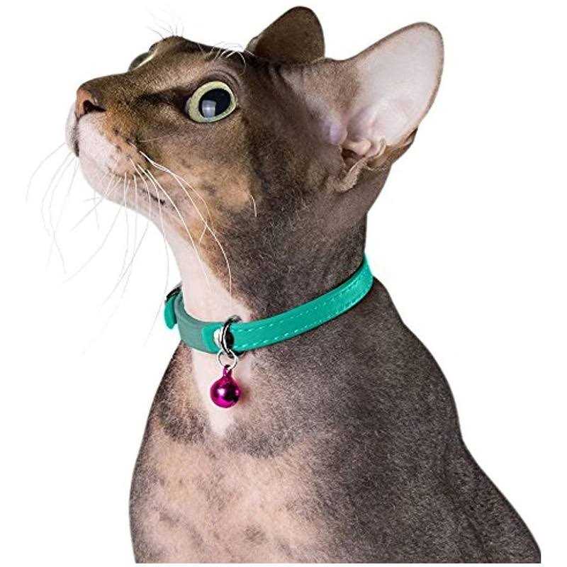 CollarDirect Leather Cat Collar with Bell Kitten Collar, Small and Big Cat Collar for Boy Cats - Nail Gallerys