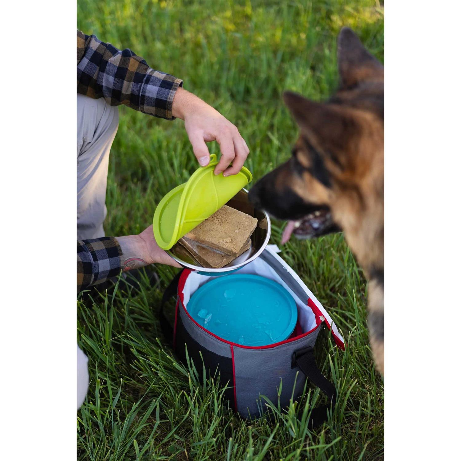 Messy Mutts Bowl & Lid Set - Nail Gallerys